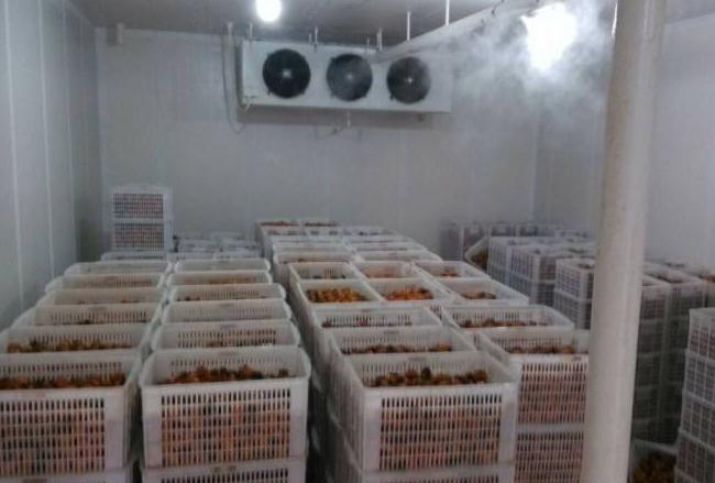 跟着安徽91视频18岁入口一起来了解下影响冷库设备制冷效果的几个因素吧！