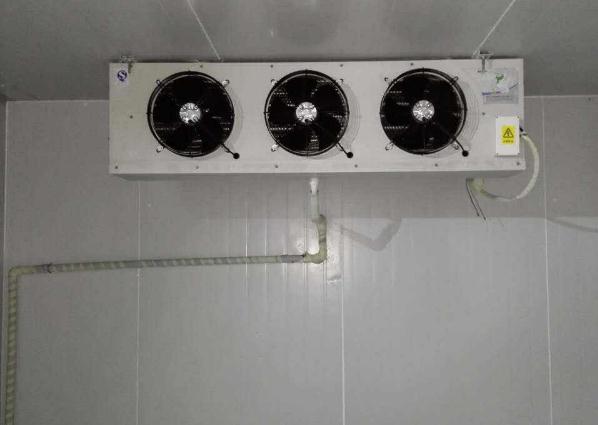 91视频网站下载维修