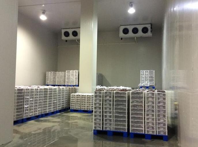 冷库建造类型有几种？91视频网站下载的价格组成部分？