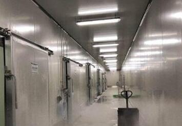 冷库造价多少一立方，关于91视频网站下载造价因素的相关知识