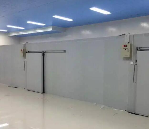 鲜花保鲜冷库如何配置效果更好？请看安徽91视频18岁入口冷库厂家的介绍