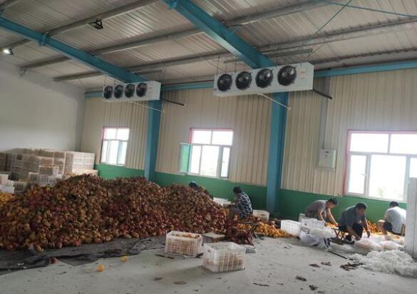 保鲜冷库有什么特点！请看安徽91视频18岁入口冷库厂家的介绍！